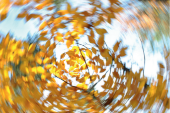 vertigo banner