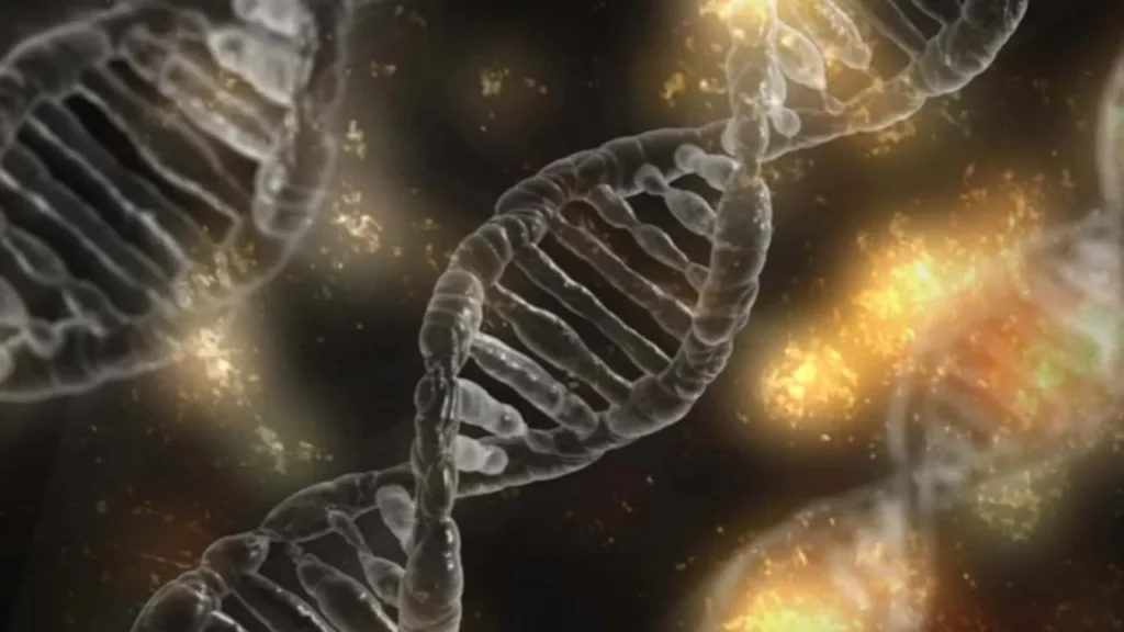 is Epilepsy a genetic disease?