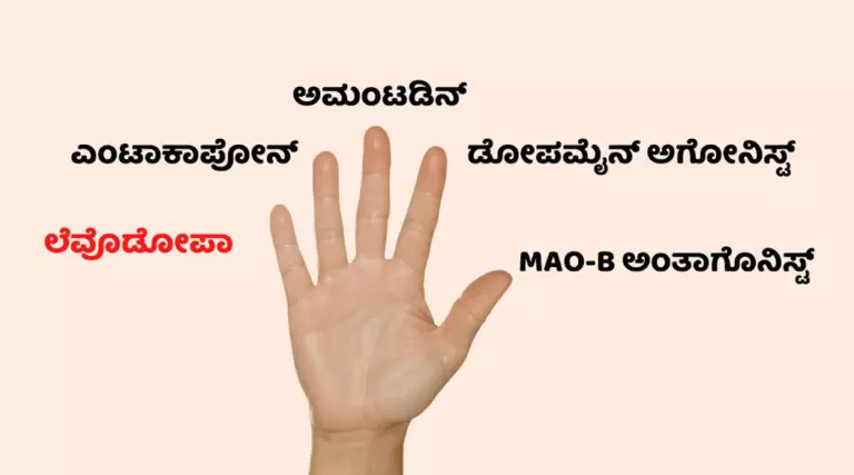 Location of nerves on fingers in malyalam