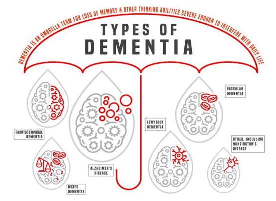 Types of Dementia Illustration