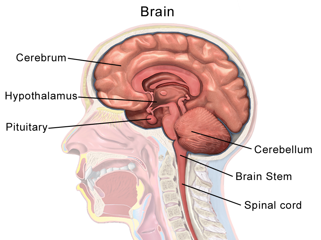 Dr Siddharth Kharkar brain infection treatment in Thane