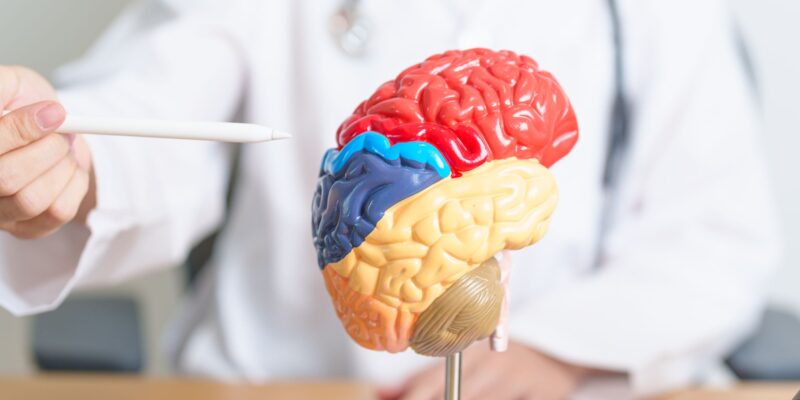 First Seizure in Adults: What to Do Next 2 Warning signs that need emergency care after a seizure