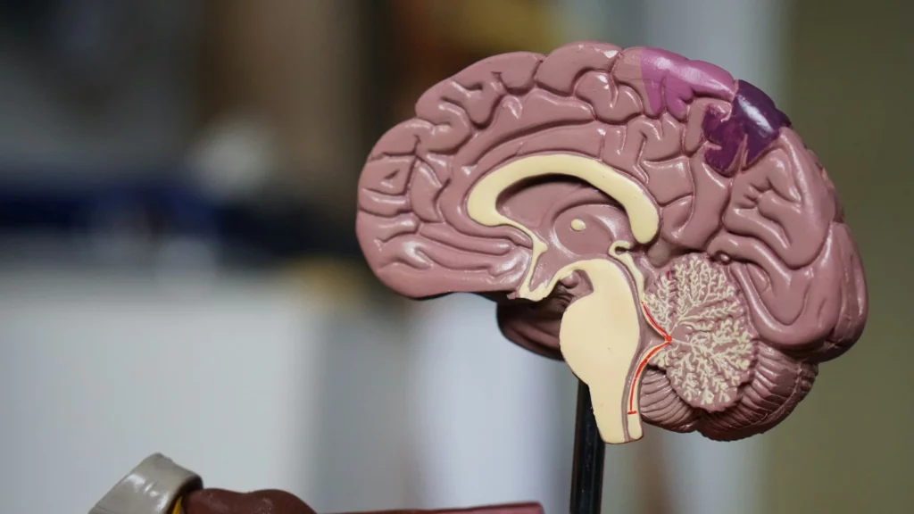 Early Signs of Alzheimer’s Disease in Older Adults: What Families Should Watch For 3 Early Signs of Alzheimer’s Disease in Older Adults