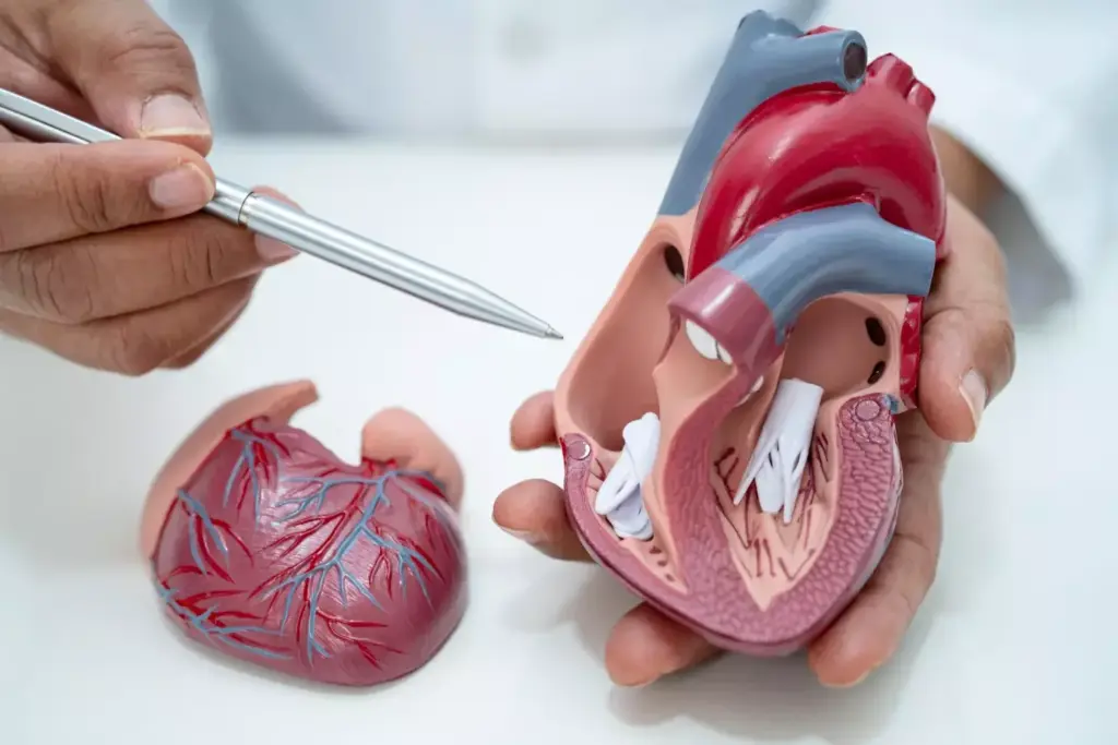 Stroke Warning Signs in Younger Adults: Symptoms You Should Not Ignore 4 Stroke Warning Signs in Younger Adults