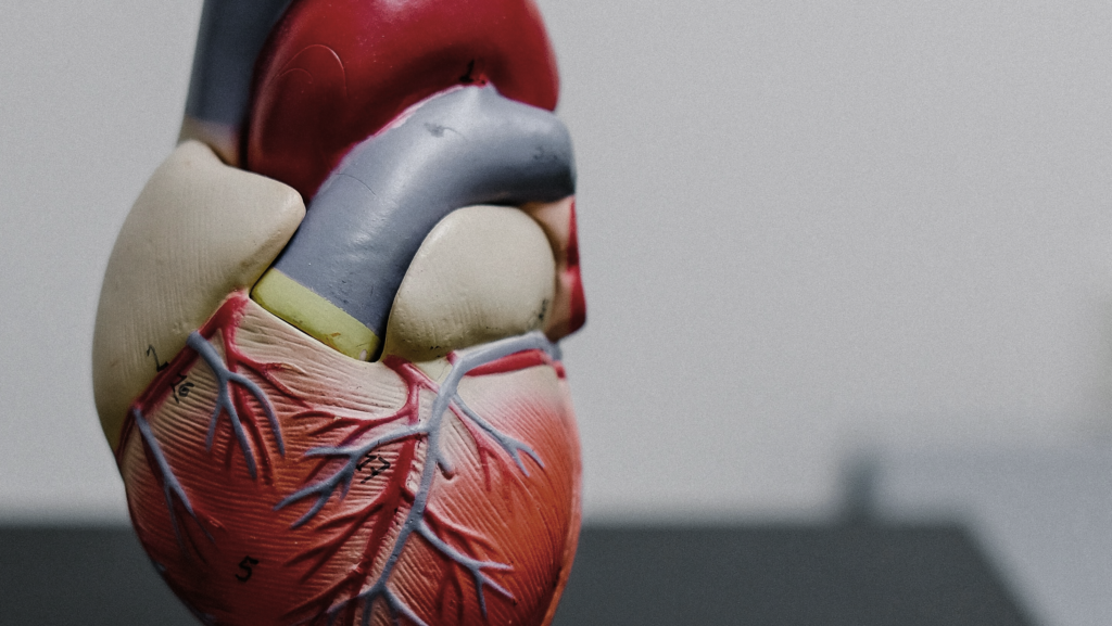 Stroke Warning Signs in Younger Adults: Symptoms You Should Not Ignore 2 Stroke Warning Signs in Younger Adults
