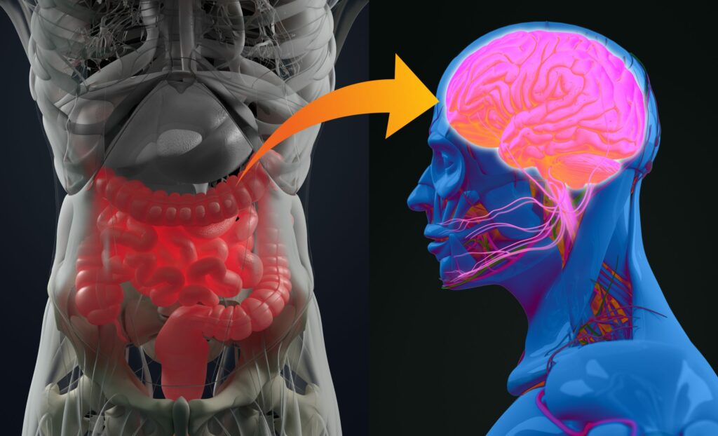 Parkinson’s Disease and Constipation: Why It Happens 2 Parkinson’s Disease
